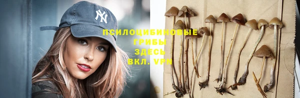 спиды Алексин