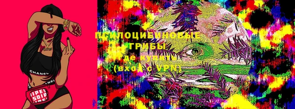 ГАЛЛЮЦИНОГЕННЫЕ ГРИБЫ Алексеевка