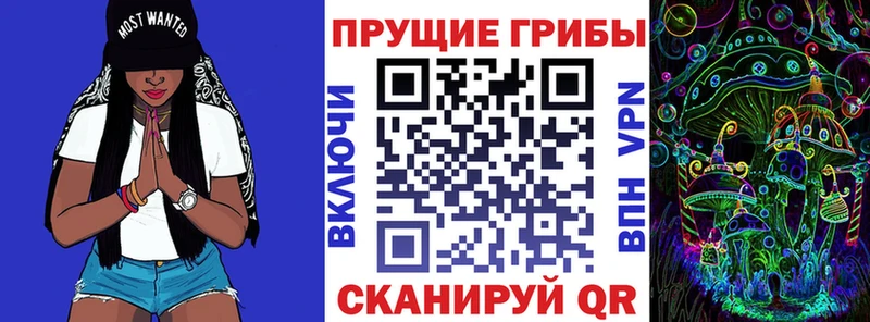 Псилоцибиновые грибы Psilocybe  Купить где  Донецк 