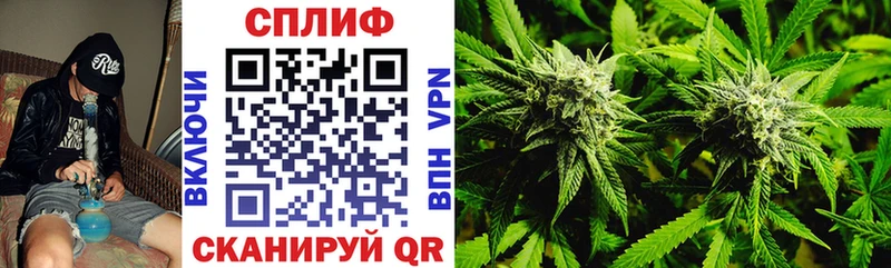 Купить закладки  Донецк  Шишки марихуана SATIVA & INDICA 